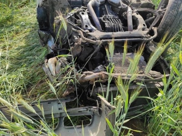 Вылетел из салона на 20 метров. В Беларуси водитель Audi получил тяжелые травмы, избегая столкновения с косулей