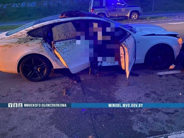 В Беларуси Audi A5 сбил лося на трассе М-3 – погибла пассажирка, пассажир в больнице