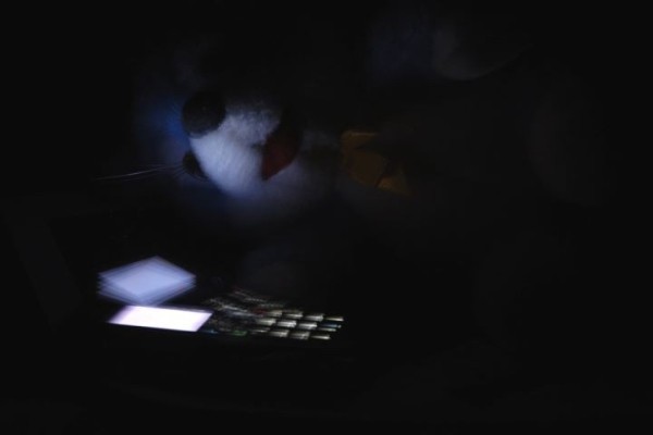 Хакерам пришлось ждать два месяца, пока у белоруса на счету появятся деньги. Похитили 2000 рублей отпускных Хакерам пришлось ждать два месяца, пока у белоруса на счету появятся деньги. Похитили 2000 рублей отпускных