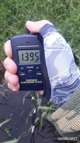 Улов жителя Бреста - https://onlinebrest.by/publikacii/ulov-zhitelya-bresta-2.html
Улов жителя Бреста - https://onlinebrest.by/publikacii/ulov-zhitelya-bresta-2.html