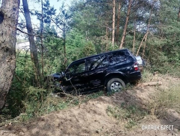 В Кобринском районе автоледи не справилась с управлением, легковушка повисла на дереве