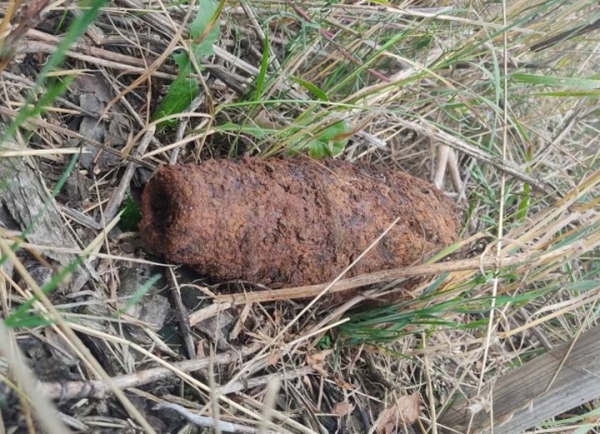 Житель Лунинецкого района откопал мину времен ВОВ Житель Лунинецкого района откопал мину времен ВОВ