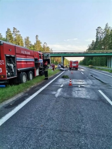 На М1 легковушка врезалась в ограждение разделительной полосы
