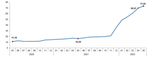 Белорусы едут в Турцию, а там инфляция выше 70%. Как выглядят цены? Белорусы едут в Турцию, а там инфляция выше 70%. Как выглядят цены?