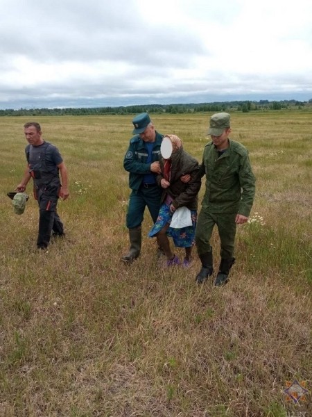 В Брестской области нашли 90-летнюю пенсионерку, которая ушла в лес за ягодами и пропала