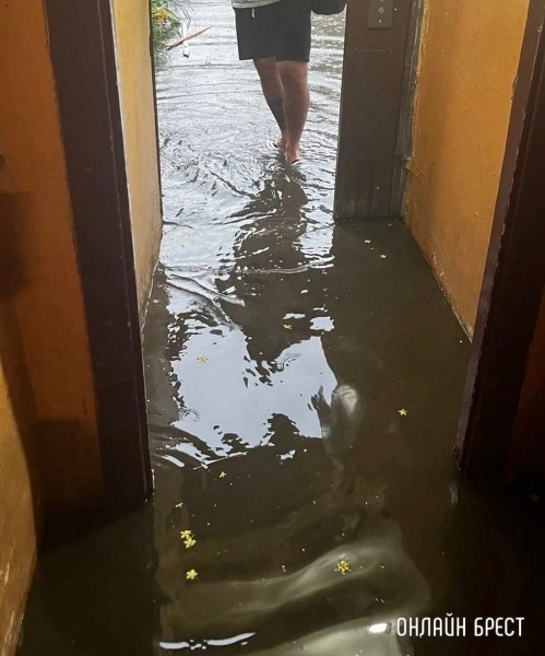 Читатель: Брест, ул.Гоголя. И так после каждого сильного дождя. Куда можно обратиться, чтобы решили данную проблему?
Читатель: Брест, ул.Гоголя. И так после каждого сильного дождя. Куда можно обратиться, чтобы решили данную проблему?