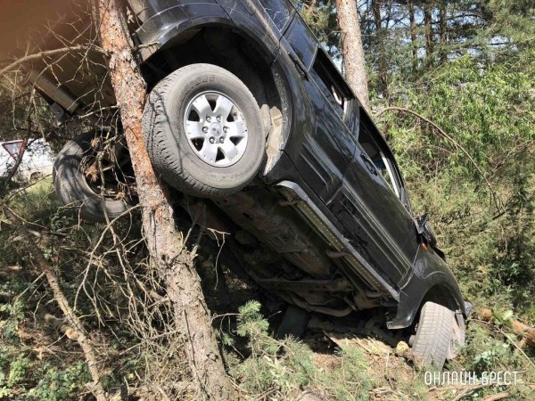 В Кобринском районе автоледи не справилась с управлением, легковушка повисла на дереве