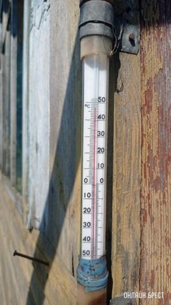 
                Читатель: Брестский район. Вчера на солнце было 47 градусов тепла
            