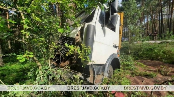 МАЗ врезался в дерево в Брестском районе МАЗ врезался в дерево в Брестском районе