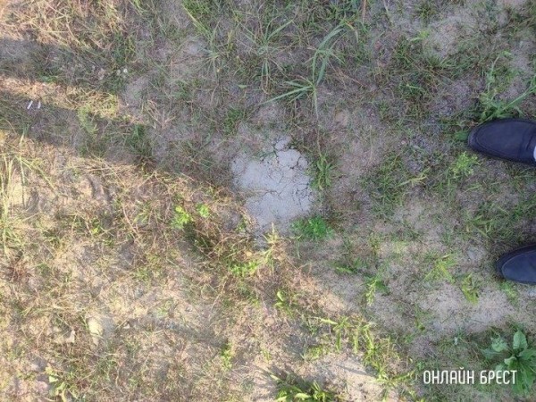 
                Читатель: Хочу заострить внимание на такой проблеме
            