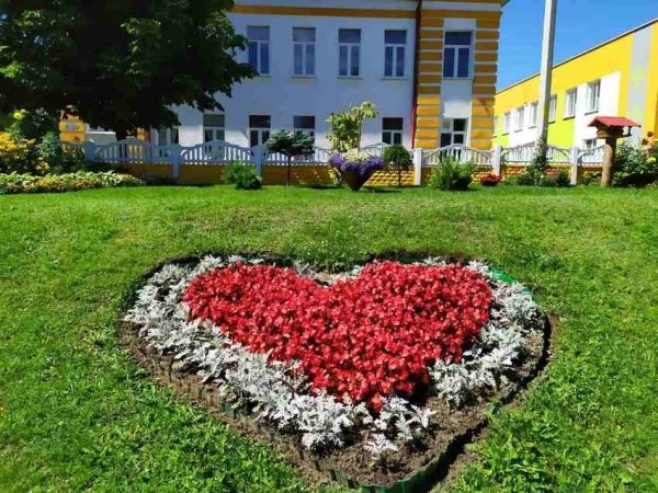 Полюбуйтесь на цветочный океан Видомли (агрогородок в Брестской области)