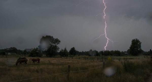 В Беларуси 16-летнего подростка убило молнией В Беларуси 16-летнего подростка убило молнией