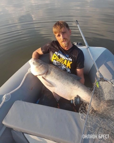 Громадный толстолобик попался рыбаку в Брестской области