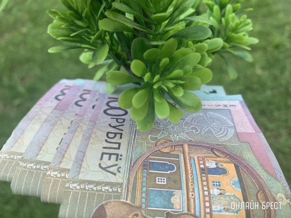 Брестская область остается лидером по досрочному распоряжению средствами семейного капитала Брестская область остается лидером по досрочному распоряжению средствами семейного капитала