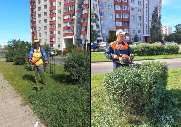 Как в Бресте обстоят дела с покосом травы? Как в Бресте обстоят дела с покосом травы?