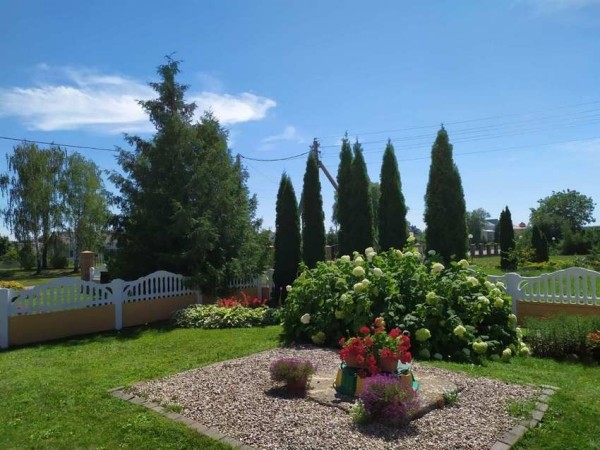 Полюбуйтесь на цветочный океан Видомли (агрогородок в Брестской области)