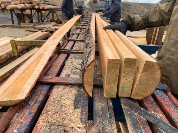 Белорусам для строительства дома разрешили покупать до 70 «кубов» леса Белорусам для строительства дома разрешили покупать до 70 «кубов» леса