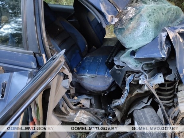 В Беларуси произошло смертельное ДТП из-за выскочившего на дорогу животного. Водитель бросила пассажирку и пошла домой В Беларуси произошло смертельное ДТП из-за выскочившего на дорогу животного. Водитель бросила пассажирку и пошла домой