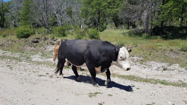 Белорус преодолел почти 50 тысяч километров меньше чем за месяц
