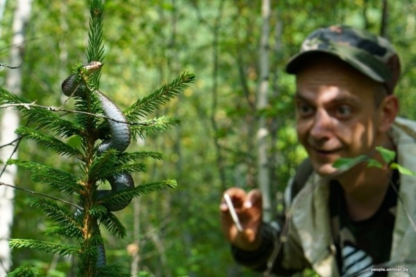 Гадюки действительно убивают? Истории реальных белорусов, которых кусала змея