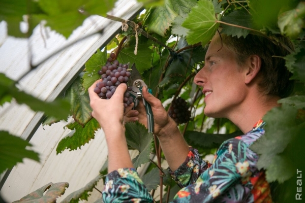 «Высадил рассаду на 11 тысяч долларов». Как обычный парень из Бреста создал сад с тысячами растений на 2 гектарах