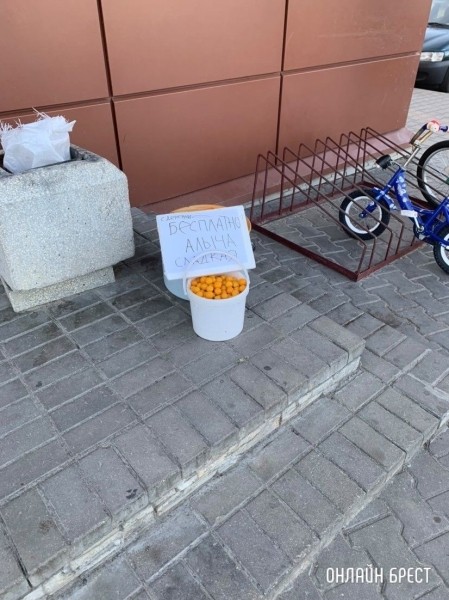 Читатель: Добрые люди. Возле магазина «Северный» на Плоске
Читатель: Добрые люди. Возле магазина «Северный» на Плоске