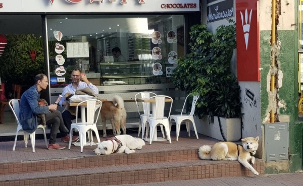 Белорус преодолел почти 50 тысяч километров меньше чем за месяц