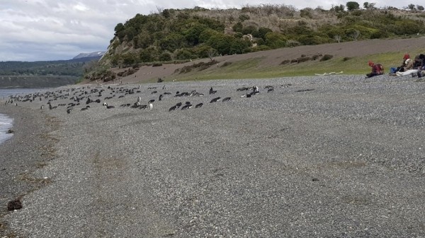 Белорус преодолел почти 50 тысяч километров меньше чем за месяц