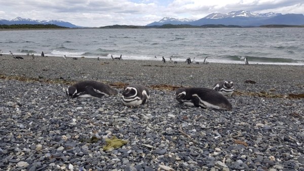 Белорус преодолел почти 50 тысяч километров меньше чем за месяц