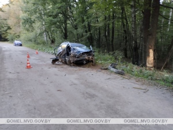 В Беларуси произошло смертельное ДТП из-за выскочившего на дорогу животного. Водитель бросила пассажирку и пошла домой В Беларуси произошло смертельное ДТП из-за выскочившего на дорогу животного. Водитель бросила пассажирку и пошла домой