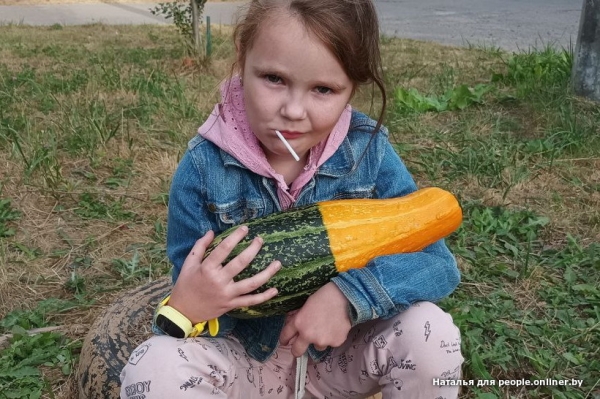 В Кобрине картошки сразу стараются расти размером с ведро. Чем еще удивляют белорусские овощи В Кобрине картошки сразу стараются расти размером с ведро. Чем еще удивляют белорусские овощи