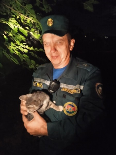 В Брестской области спасатели помогли котёнку