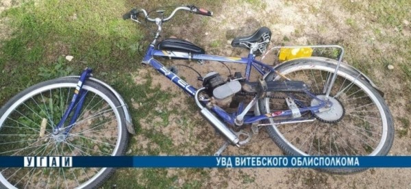 И такое бывает. В Беларуси женщина на велосипеде врезалась в лося И такое бывает. В Беларуси женщина на велосипеде врезалась в лося