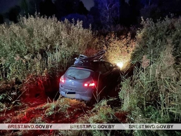 В Брестской области на трассе М1 водитель «Рено» врезался в лося В Брестской области на трассе М1 водитель «Рено» врезался в лося