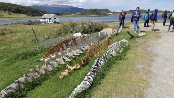 Белорус преодолел почти 50 тысяч километров меньше чем за месяц