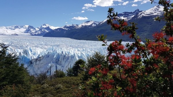 Белорус преодолел почти 50 тысяч километров меньше чем за месяц