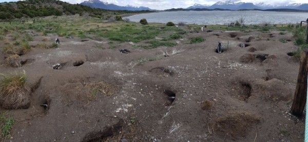 Белорус преодолел почти 50 тысяч километров меньше чем за месяц