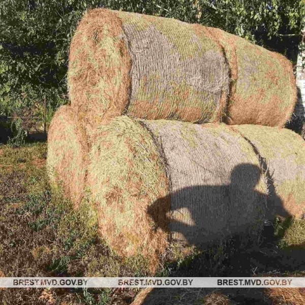 Откуда рулоны сена? Милиционеры пришли к 60-летнему жителю Кобринского района