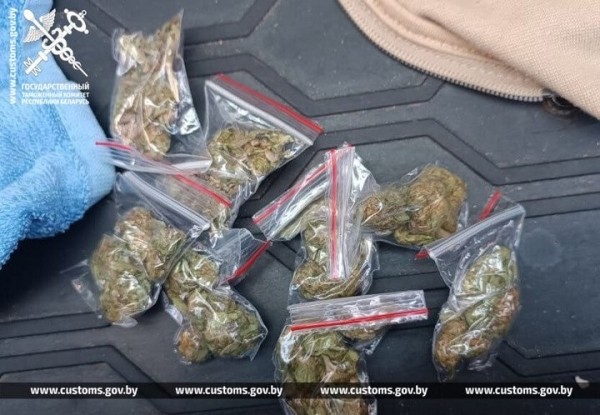 Мужчина закупился в Бресте марихуаной и поехал в Пинск. Подробности