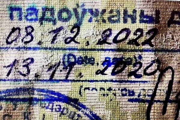 Белоруска изменила одну цифру в паспорте. На границе в Бресте это заметили