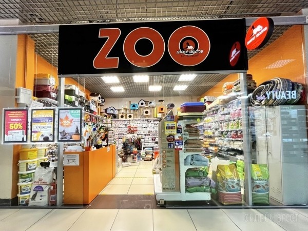 Как кошка с собакой! Как подружить разных животных в доме? Как кошка с собакой! Как подружить разных животных в доме?