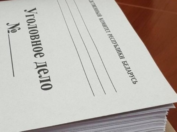 В Барановичах глава фирмы выписывал фиктивные командировки себе и водителю