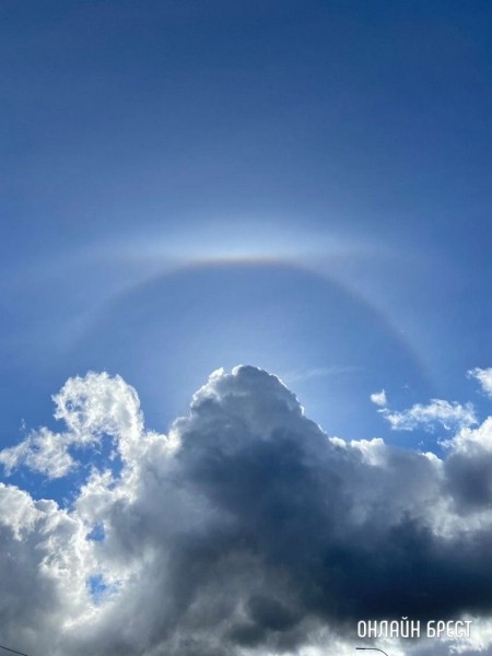 
                Читатель: Солнечное гало? Фото сделано вчера над Брестом.=
            