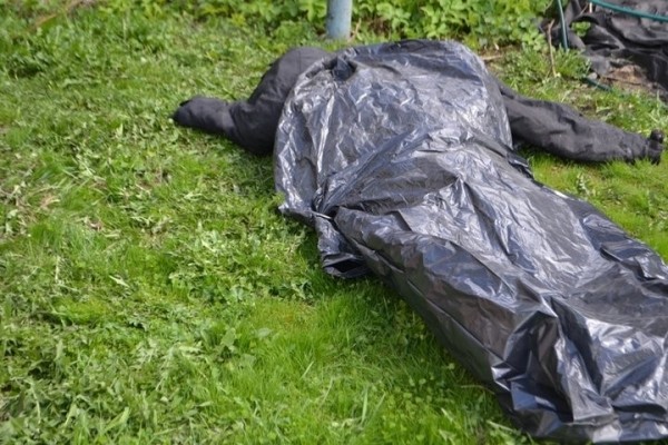 Перепутал с лосем: в Беларуси охотник застрелил своего кума