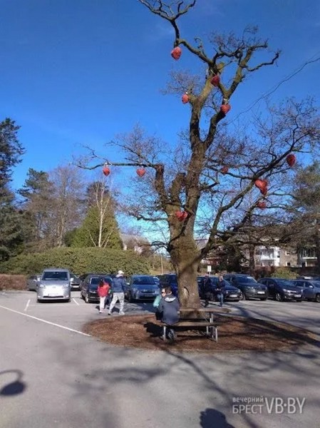 Норвежский «алфавит» глазами брестчанина. Чем живет сегодня страна фьордов? Норвежский «алфавит» глазами брестчанина. Чем живет сегодня страна фьордов?