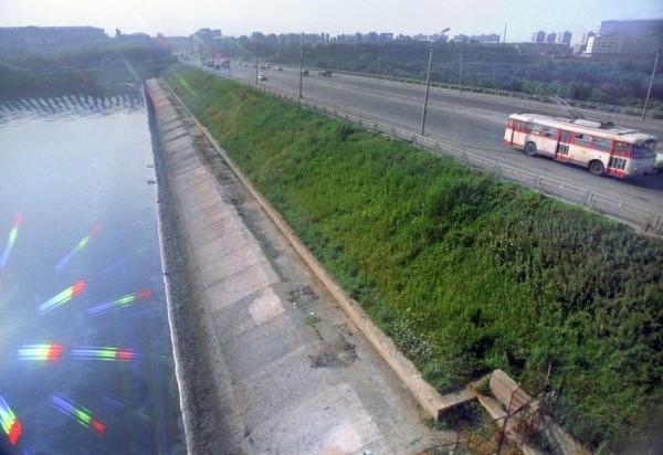 Спас людей из тонущего троллейбуса ценой карьеры. История советского пловца-супергероя Спас людей из тонущего троллейбуса ценой карьеры. История советского пловца-супергероя