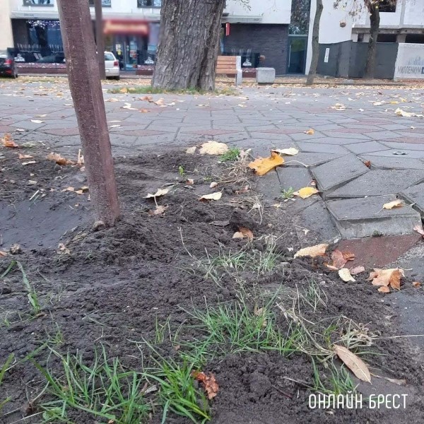 
                Читатель: Утренняя прогулка с собакой сподвигла меня на этот пост :)
            