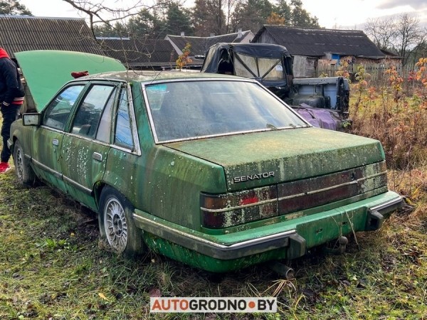 В Беларуси редкий Opel 10 лет врастал в землю и покрылся мхом. Но все равно машину купили