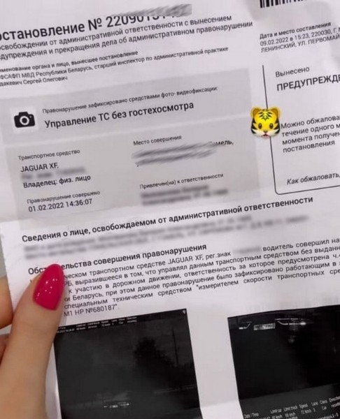 Техосмотр авто с любым типом двигателя по фиксированной цене в центре Бреста Техосмотр авто с любым типом двигателя по фиксированной цене в центре Бреста