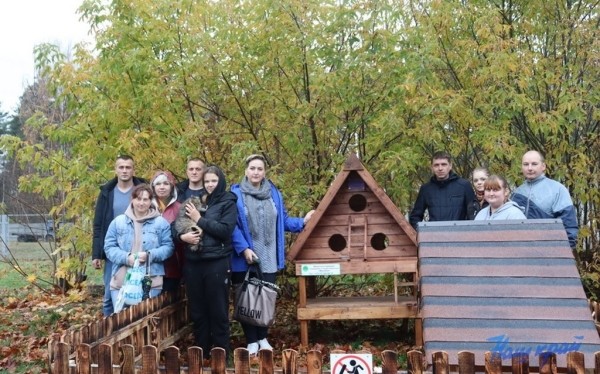 В Барановичах установили первые домики для бездомных котов